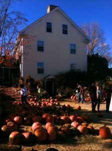 House with Pumpkins